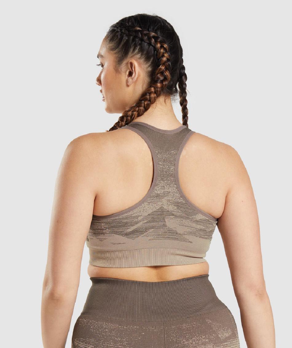 Gymshark Adapt Ombre Seamless Ženske Sportski Grudnjak Smeđe | HR 3339JPQ